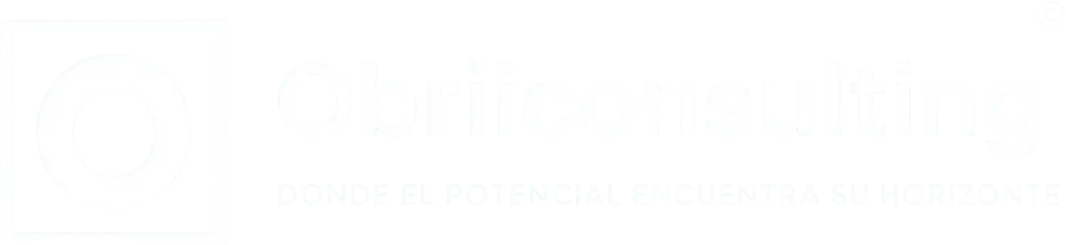 Obriiconsulting